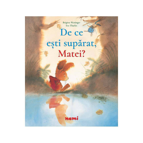 De ce esti suparat, Matei? - Brigitte Weninger, Eve Tharlet - Delumani - Magazin Romanesc 